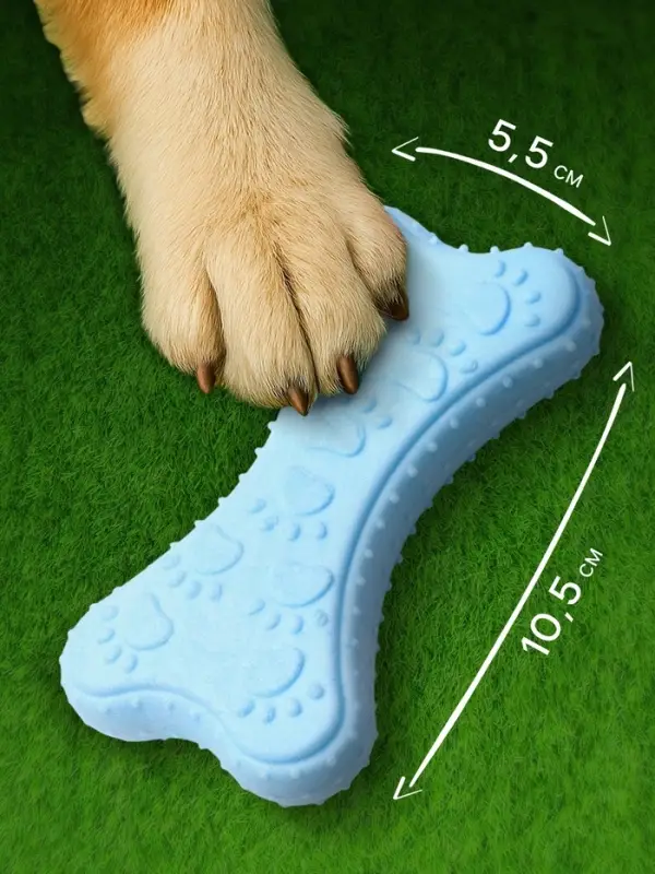 Плавающая игрушка для собак Пижон Premium &laquo;Лапки&raquo;, 10.5&times;5.5&times;2 см, вспененный TPR, голубая