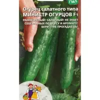 Семена Огурец "Министр огурцов - салатного типа", 10 шт