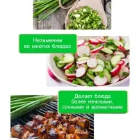 Семена Лук батун "Апрельский", 0,5 г