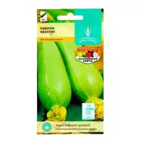 Семена Кабачок "Квентин", 10 шт. Семена Кабачок "Квентин", 10 шт.