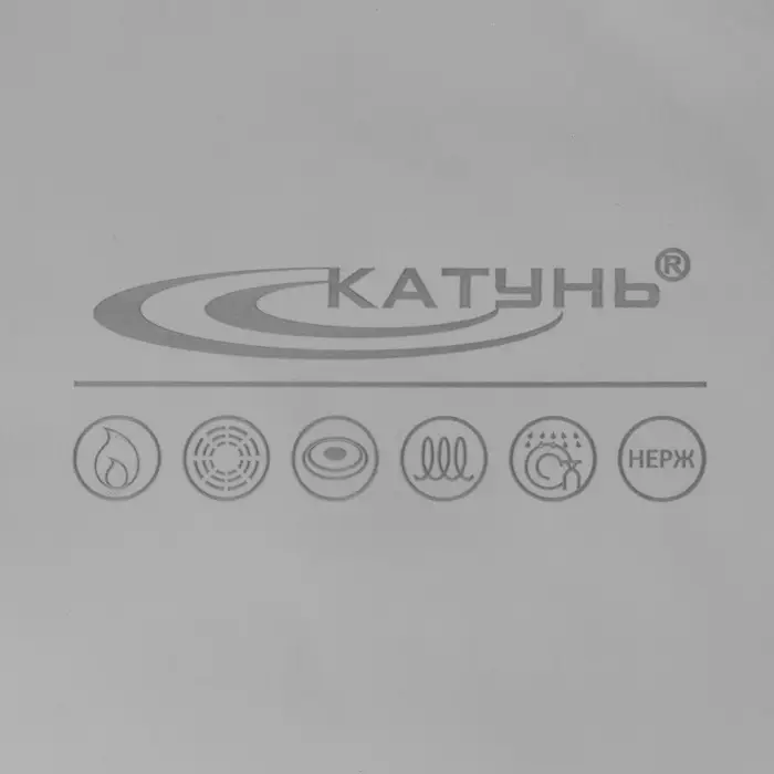 Кастрюля Катунь &laquo;Общепит&raquo;, 15 л, d=30 см, с крышкой, капсульное дно, индукция, нержавеющая сталь, хромированный