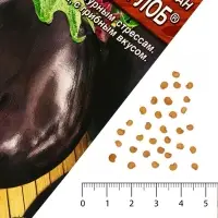Семена Баклажан &laquo;Бычий лоб&raquo;, 0.1 г, &laquo;Аэлита&raquo;