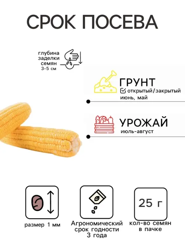 Семена Кукуруза сахарная &laquo;Тройная Сладость&raquo;, XXXL, &laquo;Сембат&raquo;, 25 г