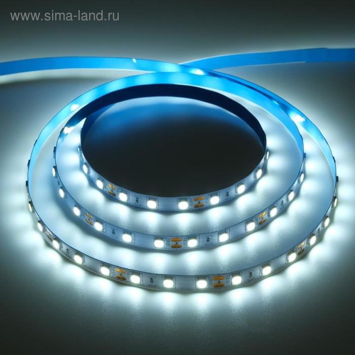 Светодиодная лента Ecola PRO 5 м, IP20, SMD5050, 60 LED/м, 14.4 Вт/м, 12 В, 6000К Светодиодная лента Ecola PRO 5 м, IP20, SMD5050, 60 LED/м, 14.4 Вт/м, 12 В, 6000К