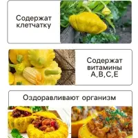 Семена Патиссон корнишон &laquo;Копейка&raquo;, 7 шт., Premium seeds