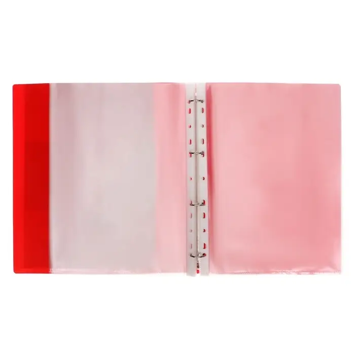 Папка-портфолио А4, Calligrata &laquo;Герб&raquo;, пластиковая, на 4 кольцах, для школьника, 20 файлов