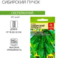 Семена Огурец "Сибирский Пучок", F1, 5 шт