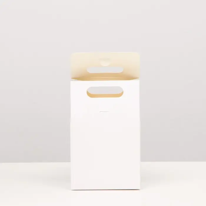 Коробка-пакет с ручкой, белая, 15 х 10 х 6 см Коробка-пакет с ручкой, белая, 15 х 10 х 6 см