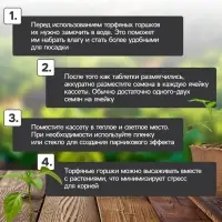 Набор для рассады: торфяной горшок 6&times;6 см, кассета на 40 ячеек, Greengo