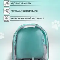 Рюкзак для переноски животных, 31&times;28&times;42 см, прозрачный, бирюзовый