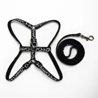 Шлейка с поводком &laquo;Жираф&raquo;, ширина 1 см, поводок 120 см, шлейка 23-35 см, чёрная, белая