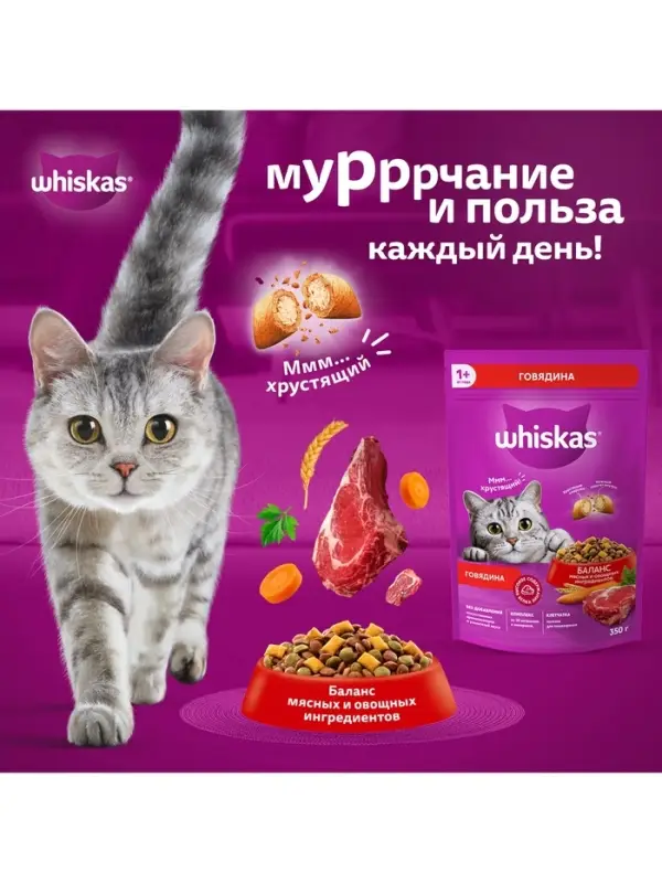 Сухой корм Wiskas для кошек, подушечки с нежным паштетом, говядина, 800 г