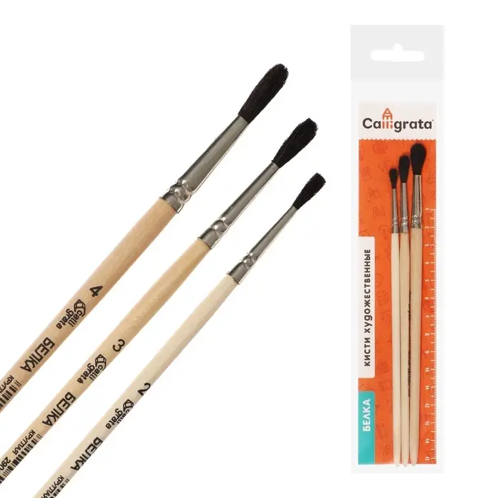 Набор кистей для рисования, белка, 3 штуки: №: 2, 3, 4, Calligrata, круглые, деревянная ручка, в пакете