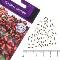 Семена цветов Петуния мультифлора &laquo;Май Джой Еллоу Бронз Ред&raquo;, 5 шт., &laquo;Поиск&raquo;