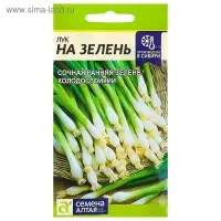 Семена Лук на Зелень, ц/п, 0,5 г Семена Лук на Зелень, ц/п, 0,5 г