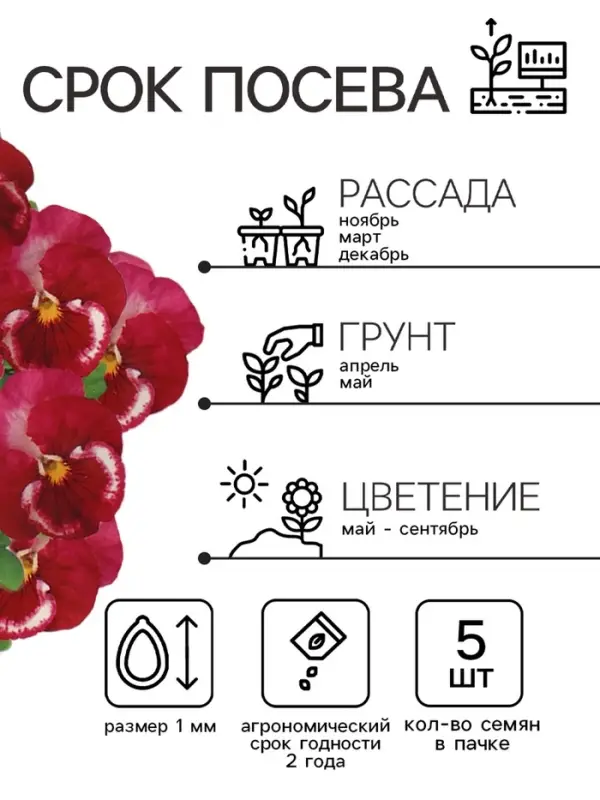 Семена Виола Семена Виола "Клубничка", ц/п, F1, 5 шт.