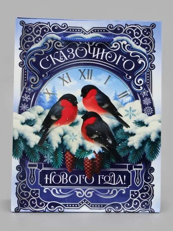 Пакет ламинированный &laquo;Сказочного года &raquo;, MS 18 &times; 23 &times; 8 см