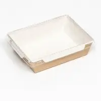 Салатник одноразовый, контейнер с прозрачной крышкой, крафт, 0.5 л, 16&times;12&times;4.5 см