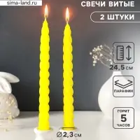 Набор свечей витых, 2.3&times;24.5 см, 5 ч, 50 г, 2 шт., жёлтый, в подарочной коробке