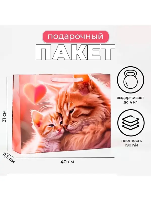 Пакет подарочный ламинированный горизонтальный &laquo;Котики&raquo;, 40&times;31&times;11.5 см