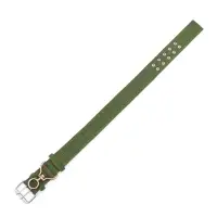 Ошейник, 80&times;4.9 см, ОШ 64-74 см, четырёхслойный, с вертлюгом, полиэстер, зелёный