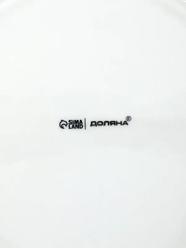 Тарелки обеденные Доляна White Label, набор 4 шт., d=25 см, фарфор, белые