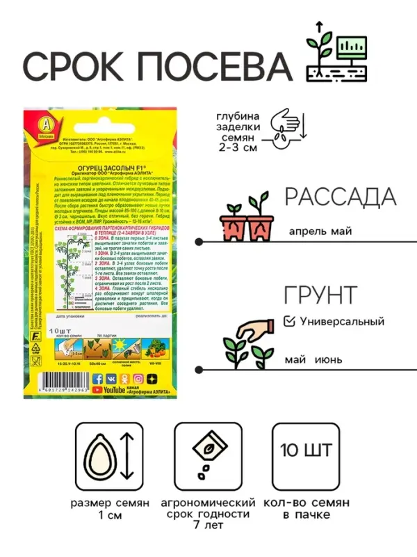 Семена огурца Семена огурца "Засолыч", F1, 10 шт.