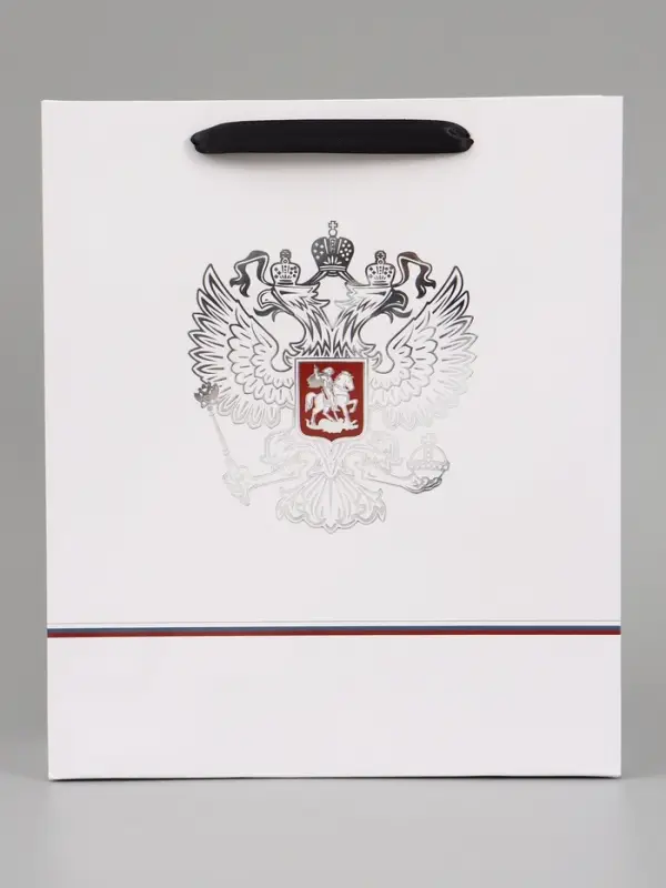 Пакет подарочный &laquo;Россия&raquo;, 25.5&times;30&times;9 см