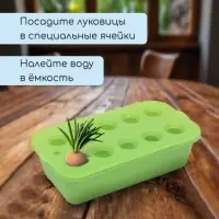 Ящик для выращивания зелёного лука, 29&times;16&times;8.5 см, 2.5 л, 10 лунок, пластик, зелёный, Greengo