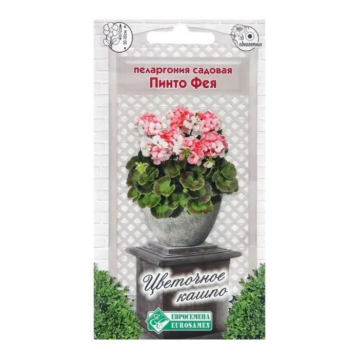 Семена Пеларгония садовая  Семена Пеларгония садовая "Пинто Фея",  3 шт