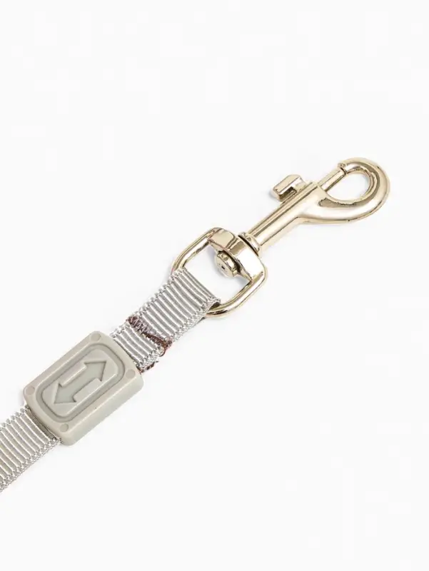 Рулетка - поводок для собак, лента 3 м, пластик, серая, сиреневая