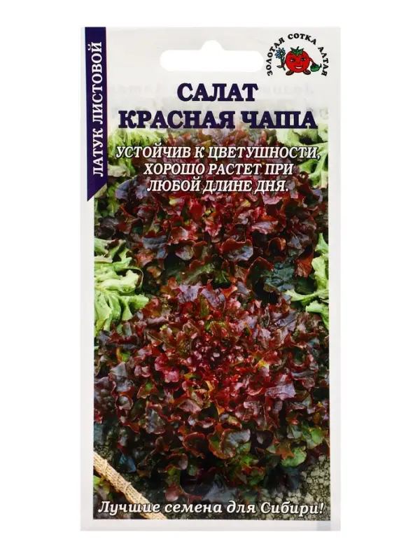 Семена Салат Красная чаша /Сотка/ 0,5г/ среднеран. листов. (можно выращивать в горшке)/*1500 1094222 Семена Салат Красная чаша /Сотка/ 0,5г/ среднеран. листов. (можно выращивать в горшке)/*1500 1094222