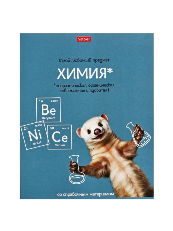 Комплект предметных тетрадей 48 листов, 12 предметов Hatber «Мой любимый предмет», обложка мелованный картон, ламинация Soft-touch, с интерактивным сп... Комплект предметных тетрадей 48 листов, 12 предметов Hatber «Мой любимый предмет», обложка мелованный картон, ламинация Soft-touch, с интерактивным сп...