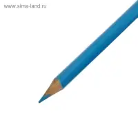 Карандаши Calligrata, цветные, 24 цвета, деревянные, трёхгранные, МИКС