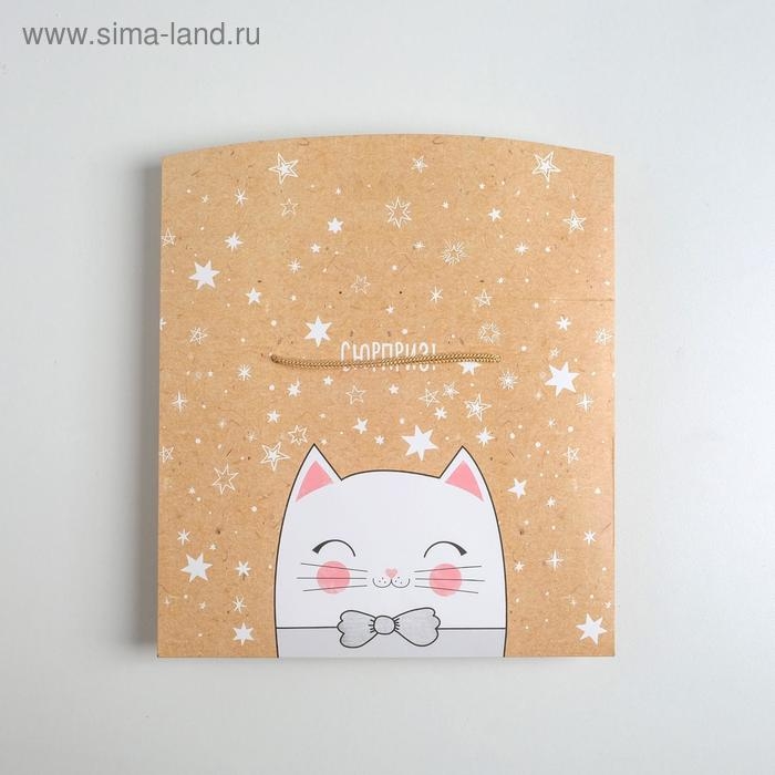 Пакет—коробка «Сюрприз!», 23 х18 х11 см Пакет—коробка «Сюрприз!», 23 х18 х11 см