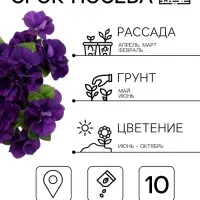 Семена цветов Петуния &laquo;Дуо&raquo;, F1, синяя, махровая, 10 шт.
