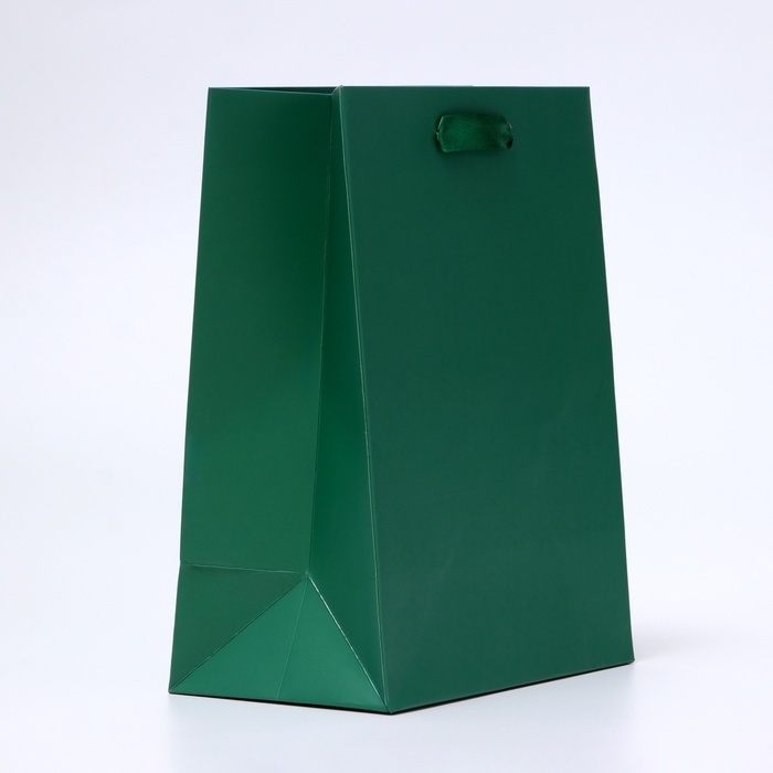 Пакет ламинированный «Зелёный», 18 х 23 х 10 см МИКС