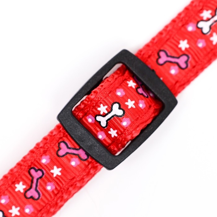 Ошейник нейлоновый Ошейник нейлоновый "Звездные косточки", 36 х 1,5 см, красный