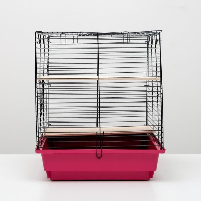 Клетка для шиншилл Клетка для шиншилл "Пижон" №8 с 2-я деревянными этажами, разборная, 58х40х48 см, малиновая