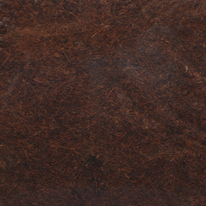 Субстрат кокосовый в брикете, 65 л, универсальный, Greengo Субстрат кокосовый в брикете, 65 л, универсальный, Greengo