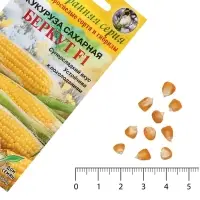 Семена Кукуруза сахарная &laquo;Беркут&raquo;, F1, 8 шт., ультраранняя, &laquo;Дом семян&raquo;
