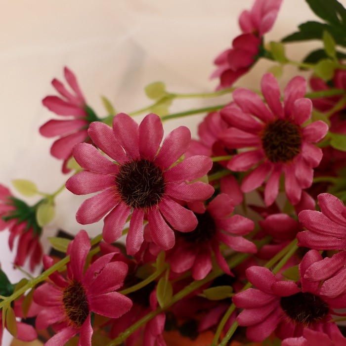 Букет Букет "Рудбекия волосистая" 40 см, микс