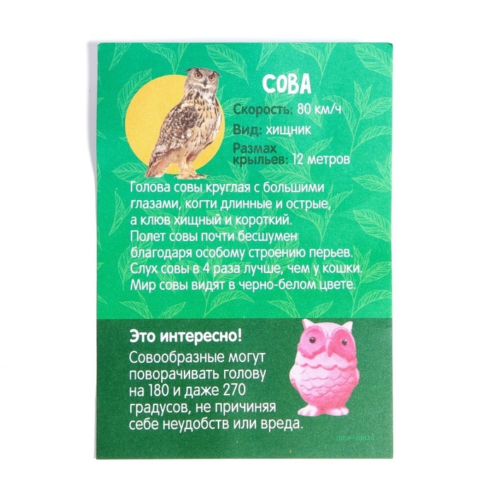 Растущие животные в яйце «Сова» МИКС Растущие животные в яйце «Сова» МИКС