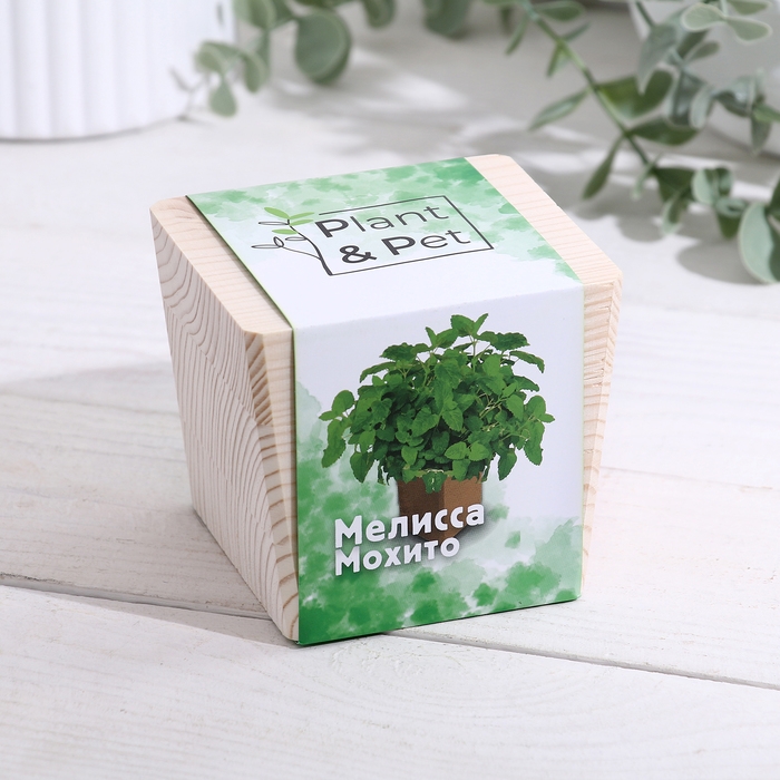 Набор для выращивания P&P Набор для выращивания P&P "Мелисса мохито"