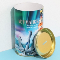 Копилка XXL «Мурманск», 20 х 12,5 см