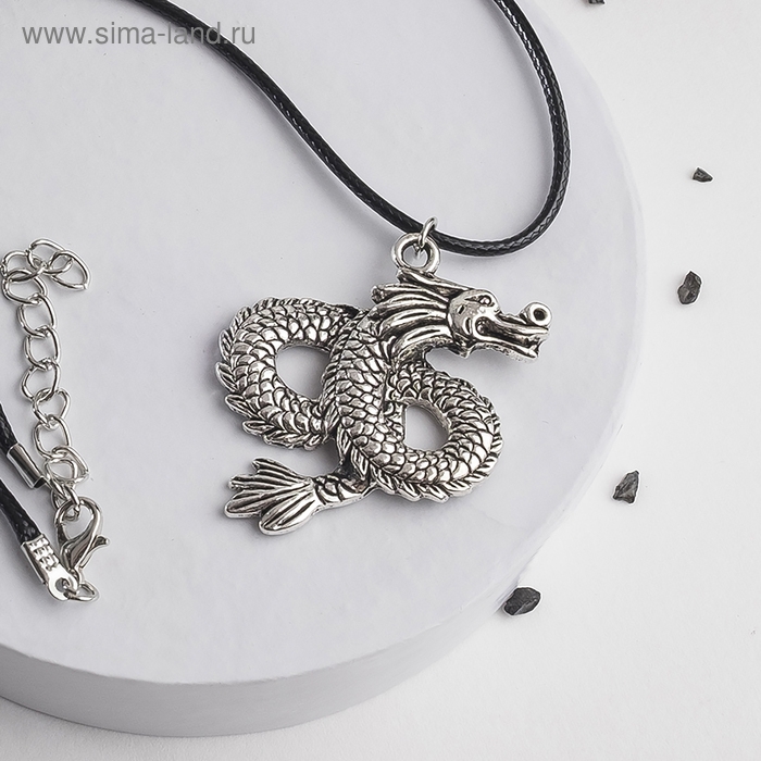 Кулон на шнурке «Змей», цвет чернёное серебро на чёрном шнурке, 42 см Кулон на шнурке «Змей», цвет чернёное серебро на чёрном шнурке, 42 см