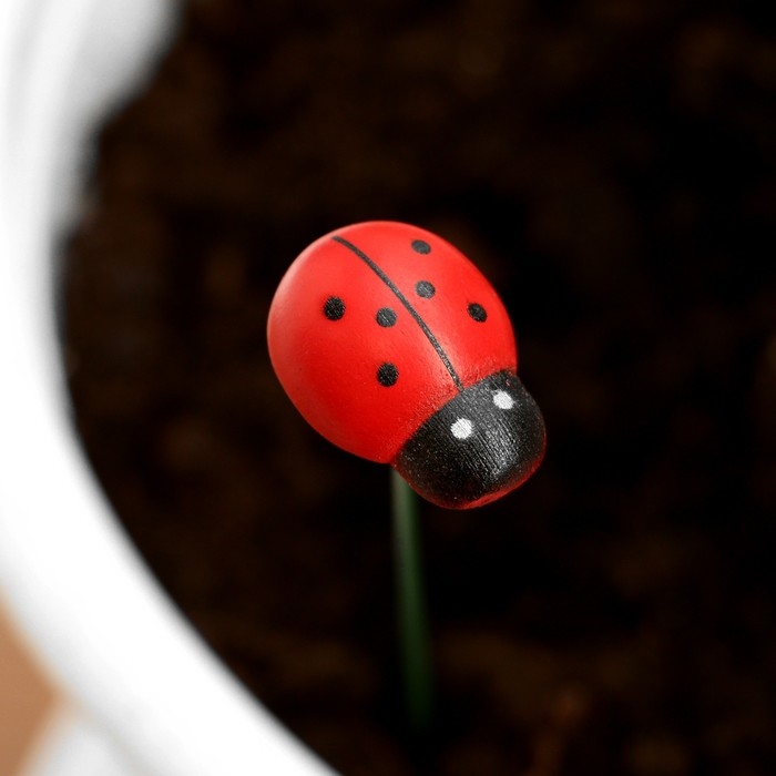 Штекер Штекер "Божья коровка Дарли" 2,5см, длина 25см, набор 10шт