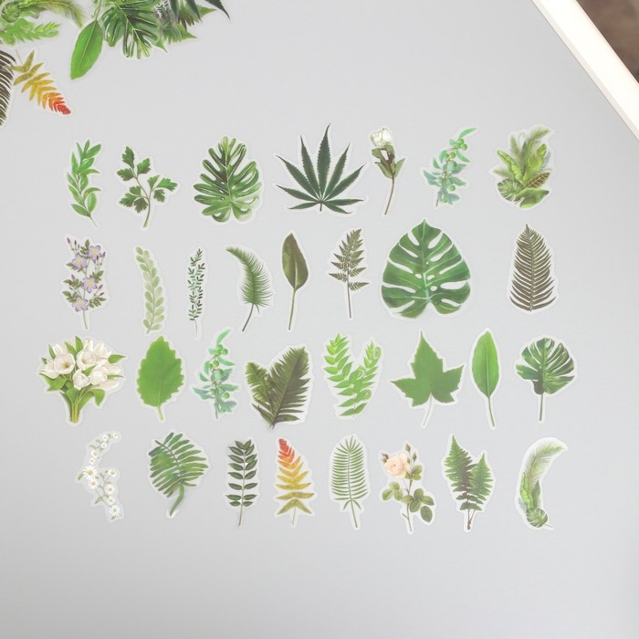 Наклейки для творчества пластик PVC Наклейки для творчества пластик PVC "Зеленые листья" набор 60 шт 10х14 см