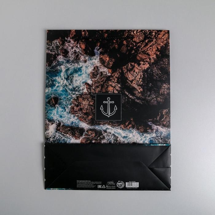 Пакет подарочный ламинированный вертикальный, упаковка, &laquo;Море&raquo;, L 31 х 40 х 11,5 см