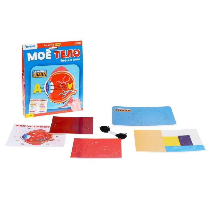 Набор для опытов «Моё тело», глаз Набор для опытов «Моё тело», глаз